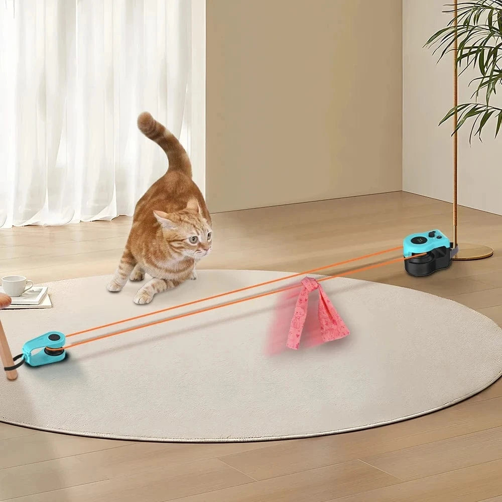 TechnuPet Cat Toys Interactive Cat Exercise Wheel for Indoor Cats