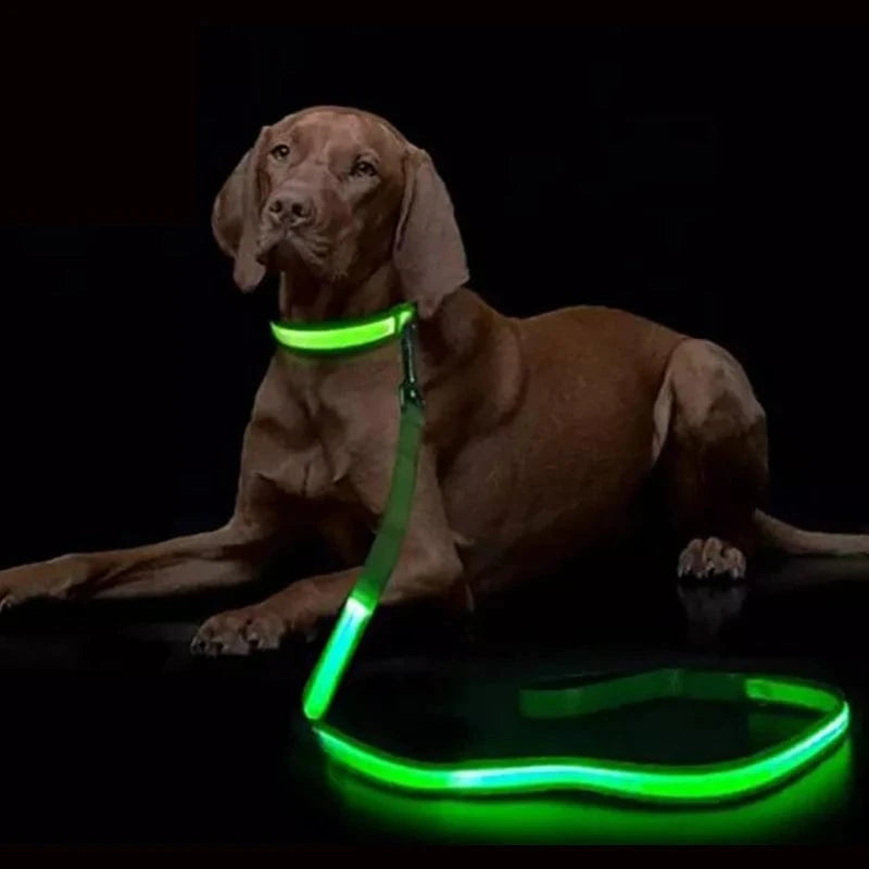 TechnuPet Smart Dog Leash LED Light Up Dog Leash with Safety Glow