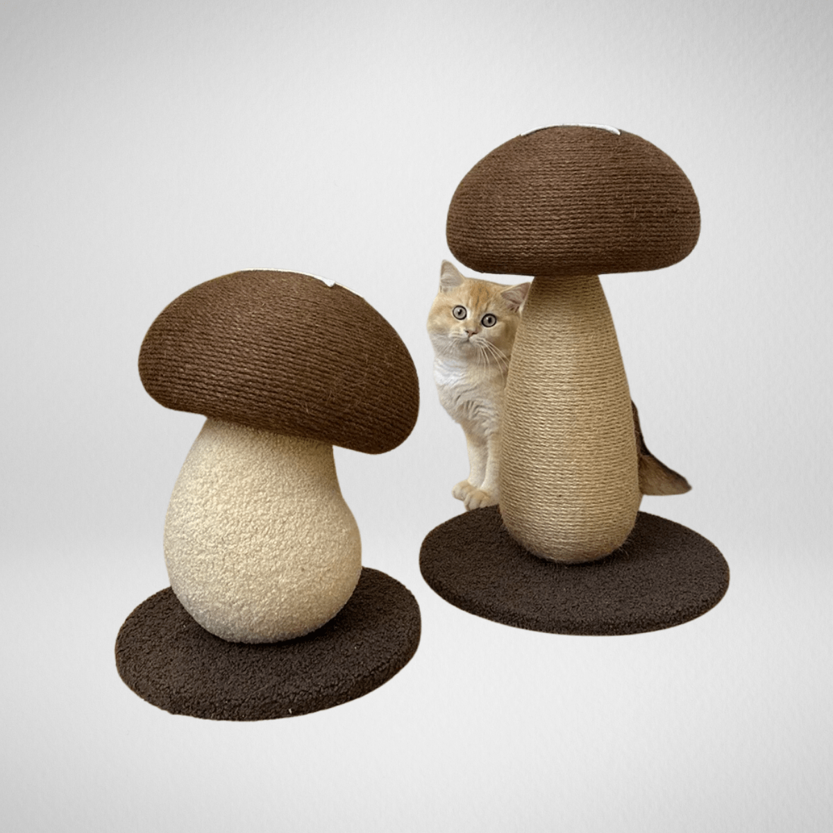 TechnuPet Cat Scratching Post Mushroom Cat Scratching Post