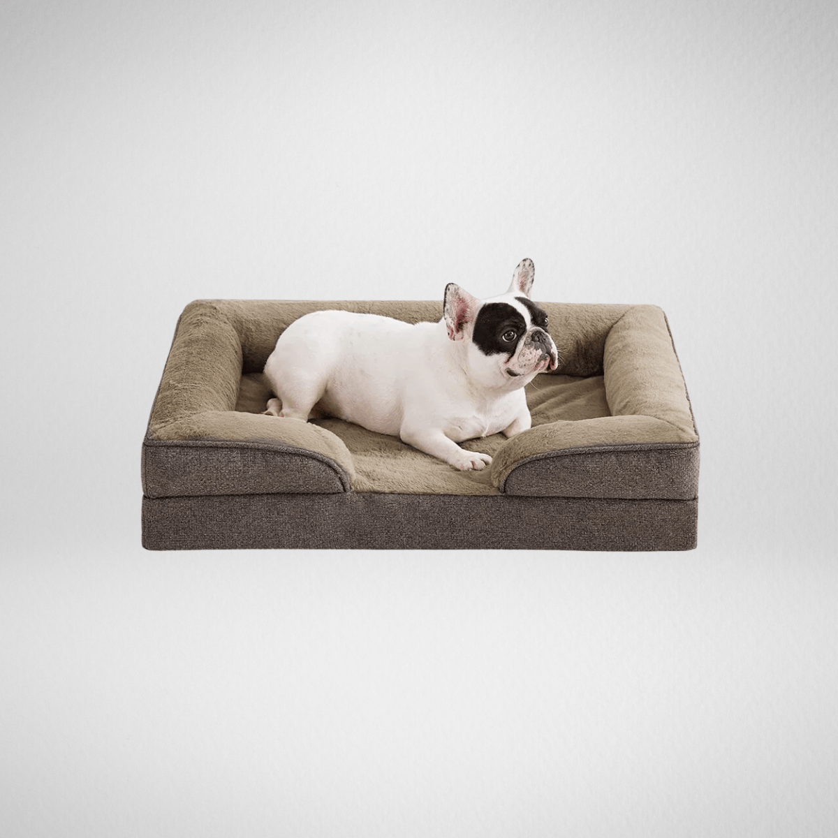 TechnuPet Dog Bed Brown / 30 L x 20 W x 6.5 Th Orthopedic Small Dog Bed