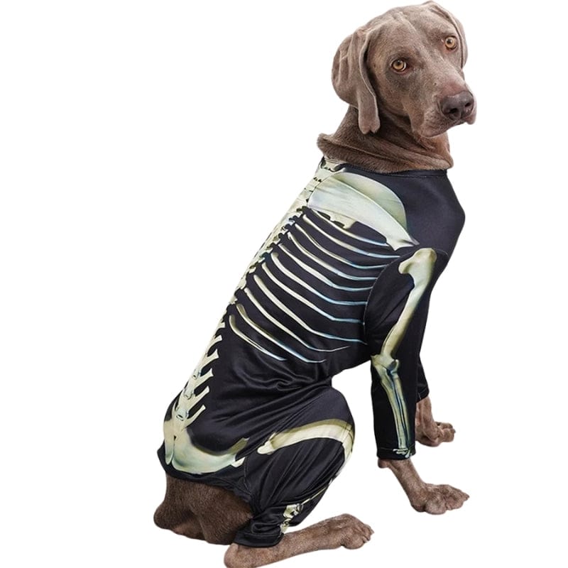 TechnuPet Dog Halloween Costumes Skeleton Dog Halloween Costume