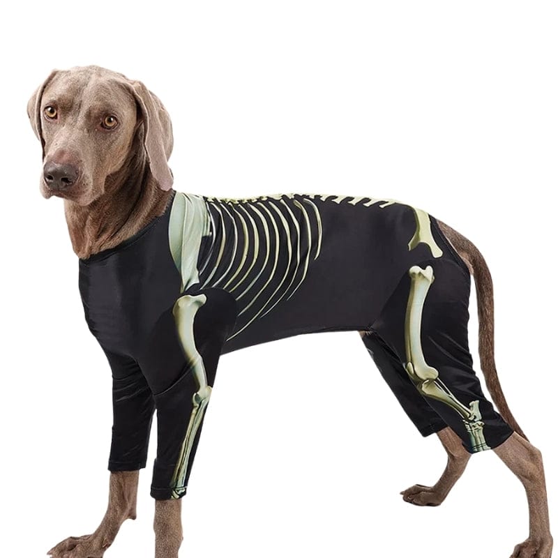 TechnuPet Dog Halloween Costumes Hei / L Skeleton Dog Halloween Costume