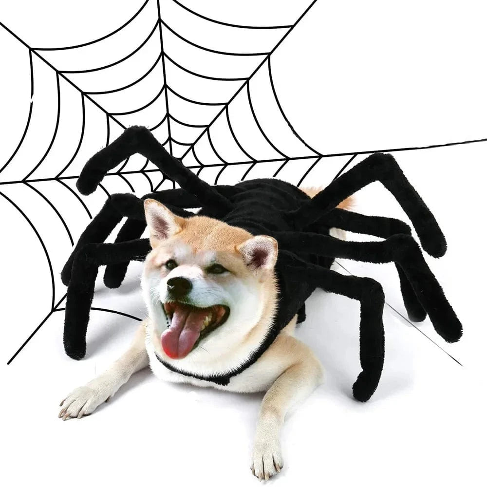 TechnuPet Dog Halloween Costumes Spider Halloween Pet Costume