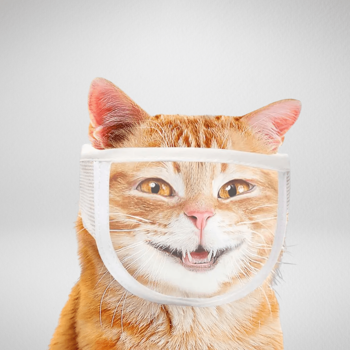 TechnuPet Cat Nail Care Transparent Cat Muzzle – Anti-Bite Face Guard for Nail Trimming