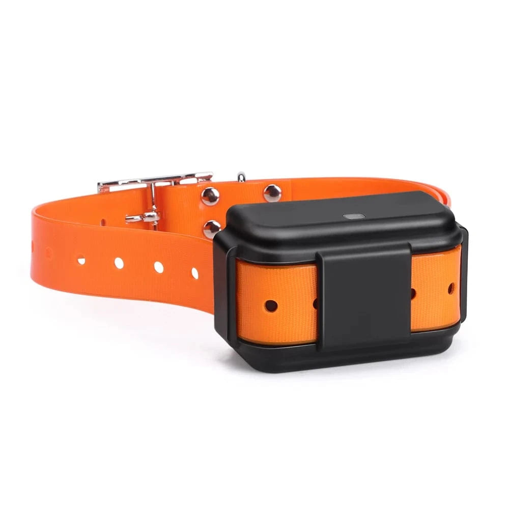 TechnuPet Dog GPS Tracker Lifetime Platform / CHINA Waterproof 4G Pet GPS Tracker